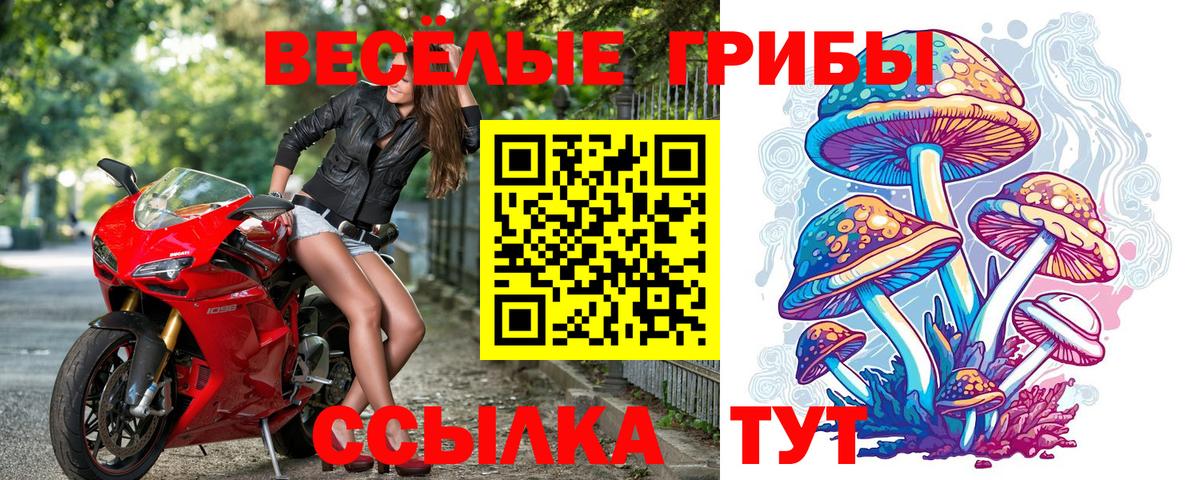 Галлюциногенные грибы прущие грибы Дзержинский